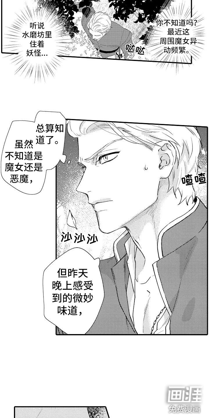 第4章：再次探查