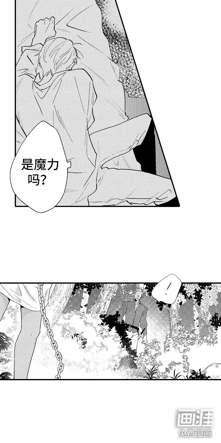 第4章：再次探查