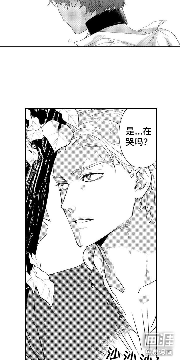第4章：再次探查