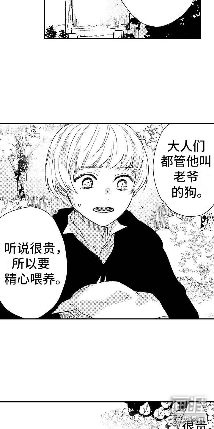第5章：你是谁