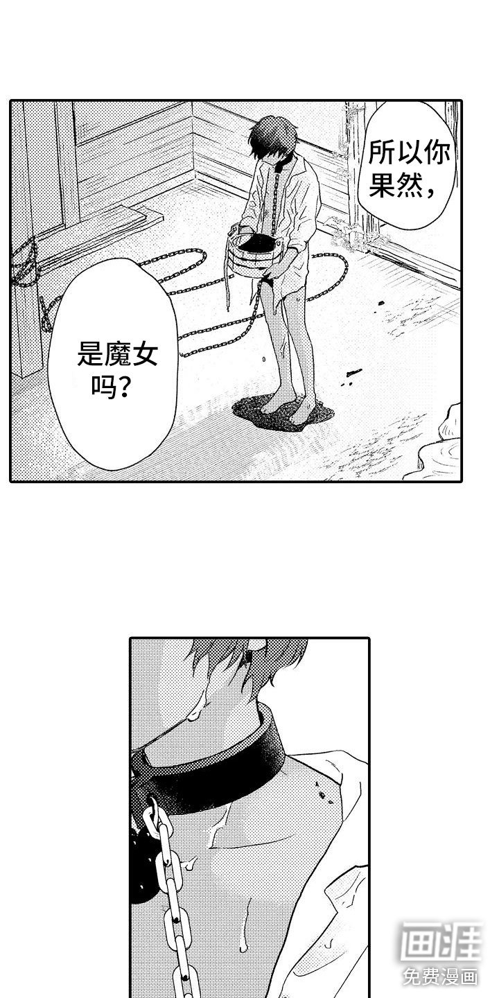 第8章：暴露