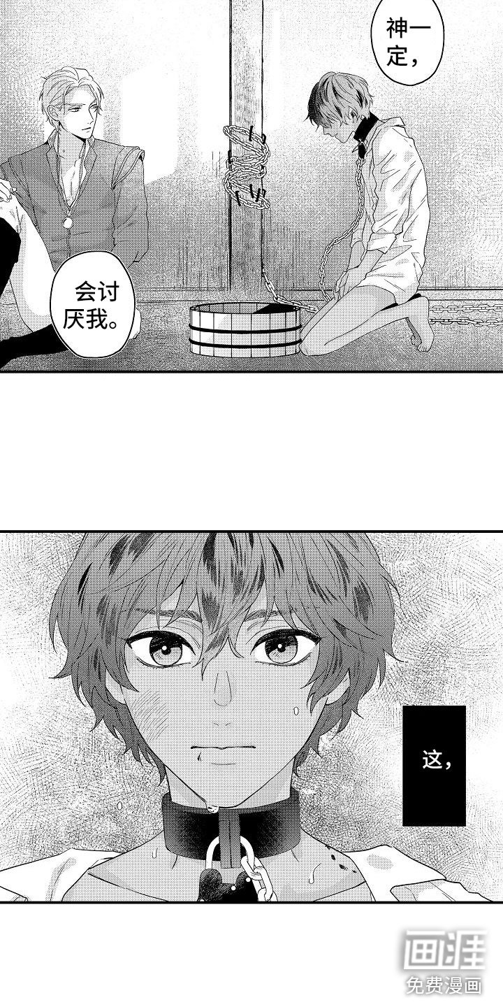 第8章：暴露