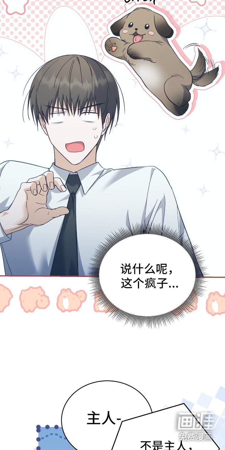 第12章：可怜兮兮