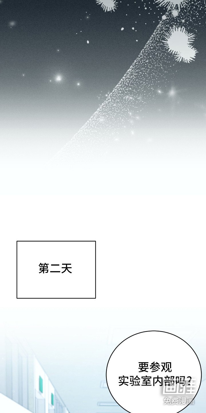 第13章：害怕
