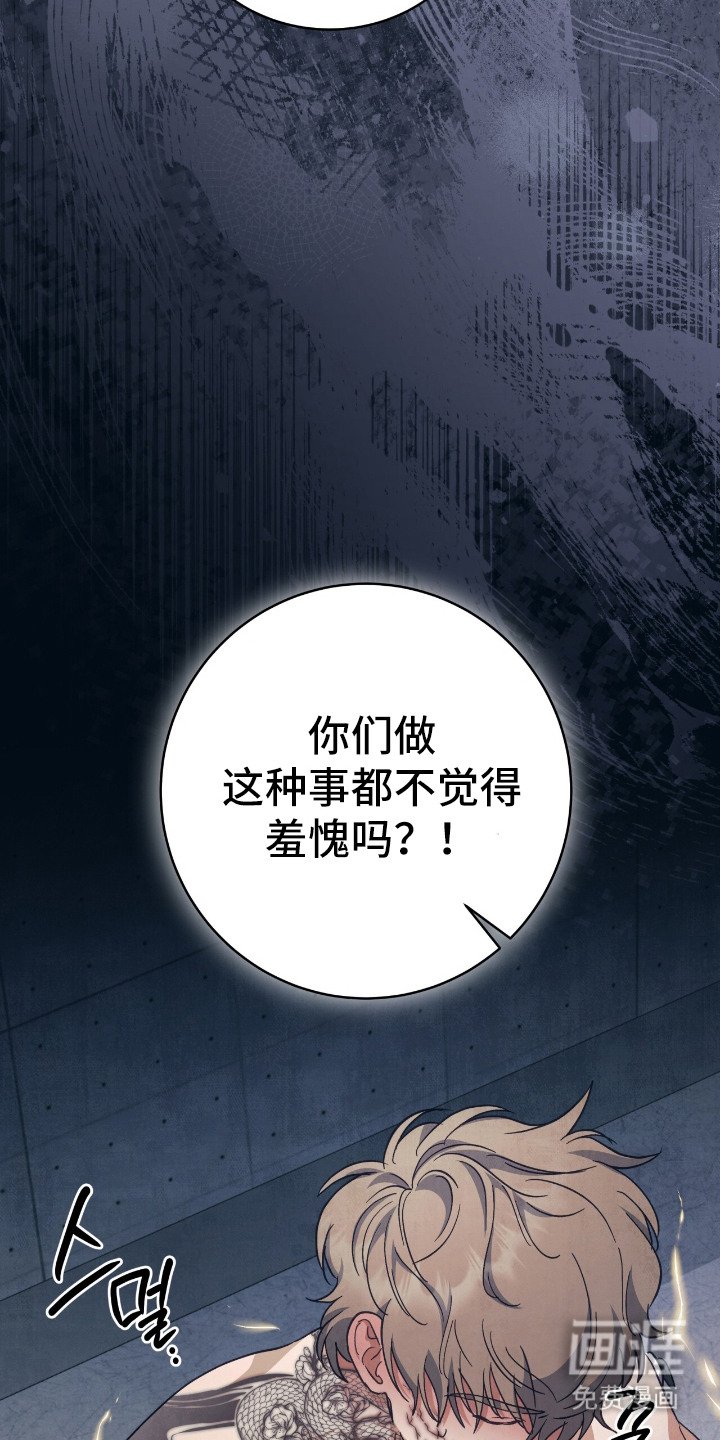 第14章：实验