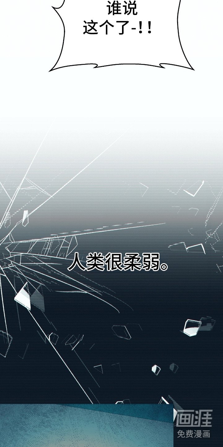 第14章：实验