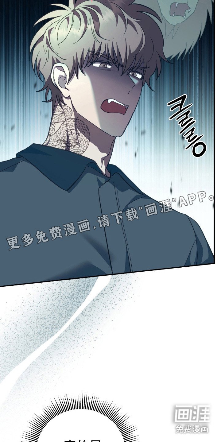 第22章：搬行李
