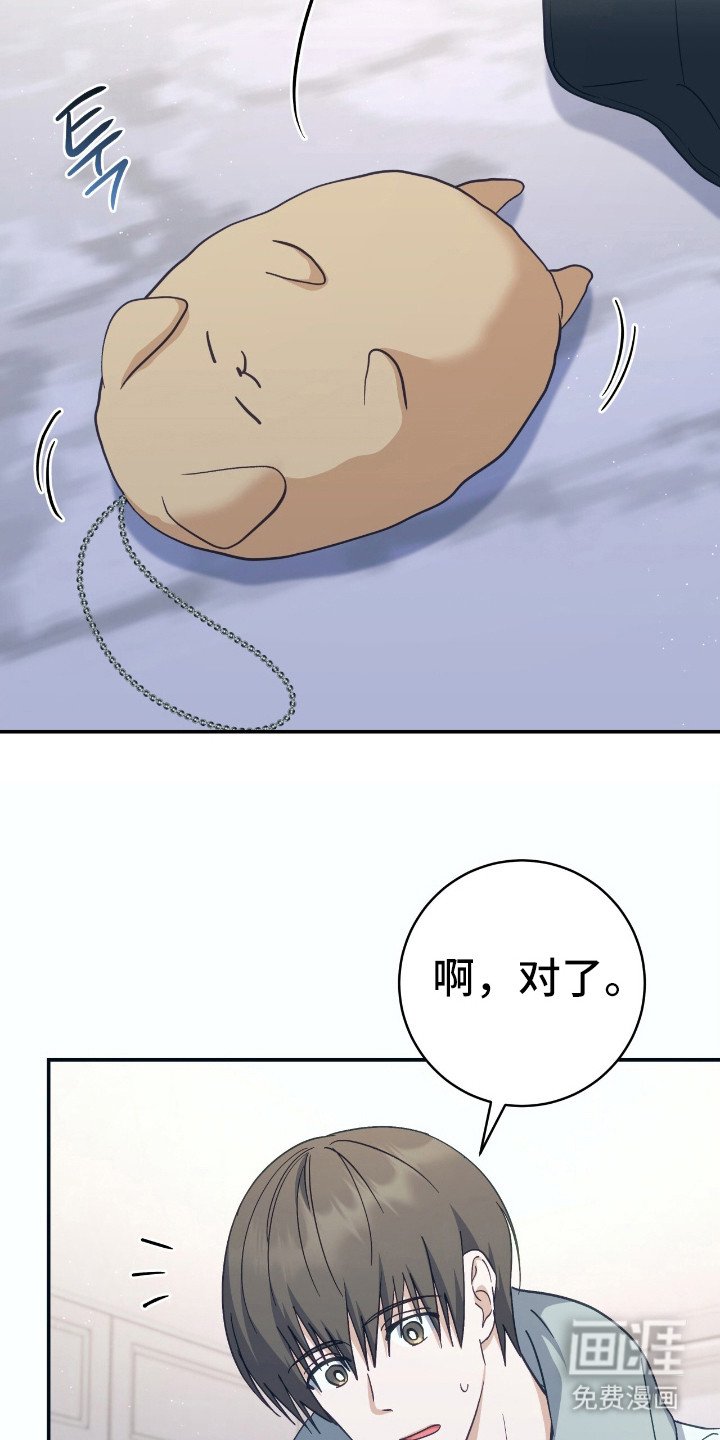 第23章：呼号分配