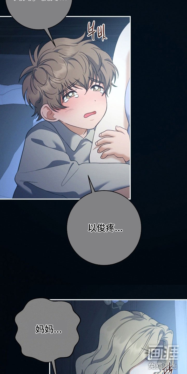 第27章：疼痛