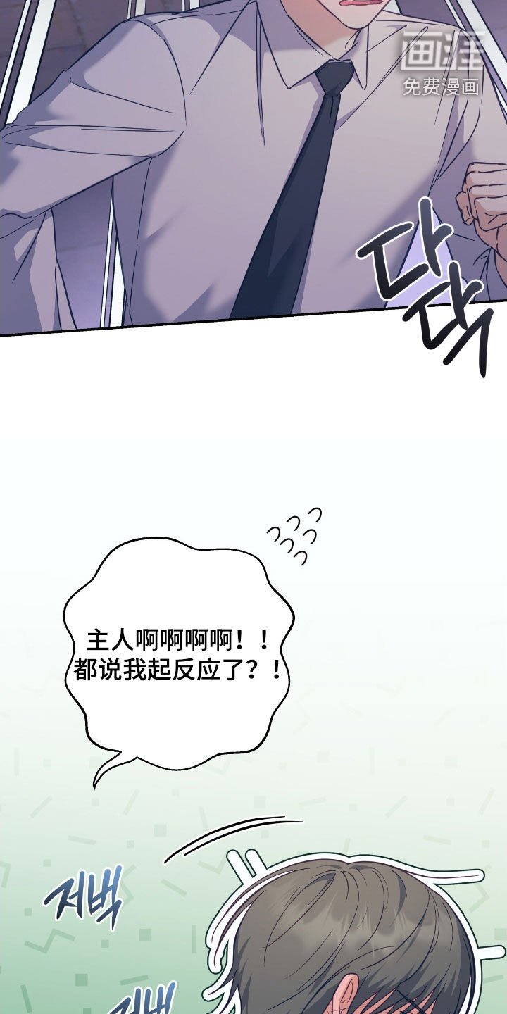 第33章：紧急会议