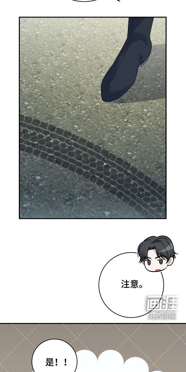 第35章：41区域