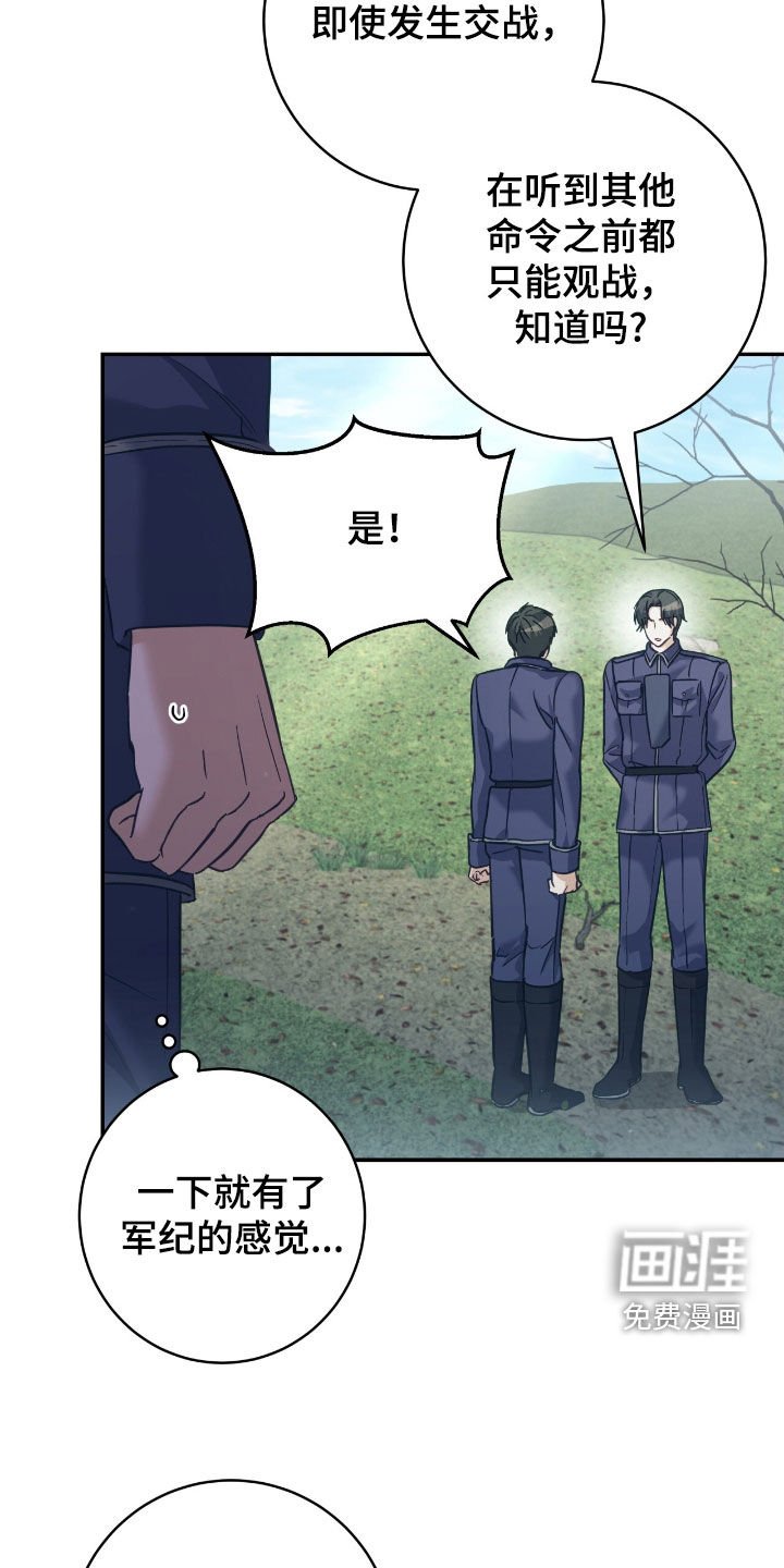 第35章：41区域