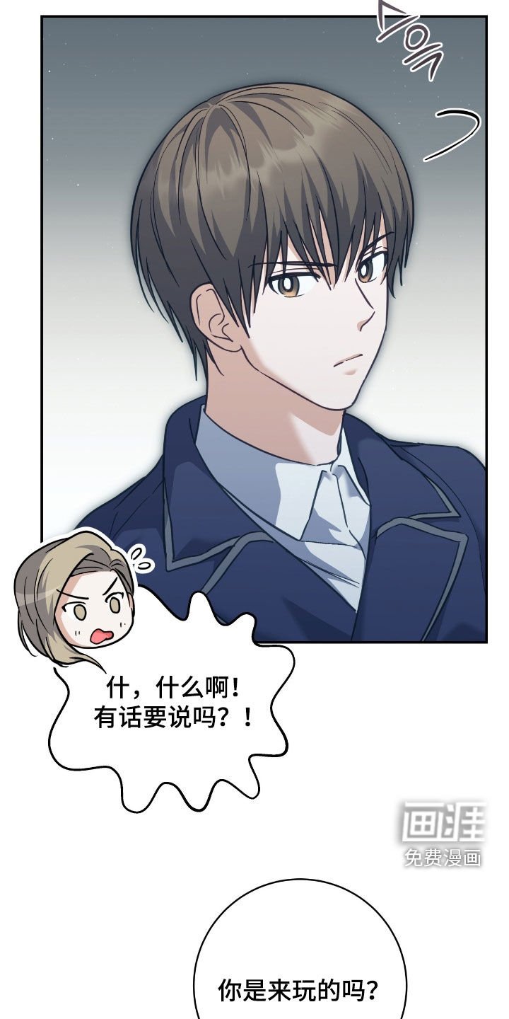 第35章：41区域
