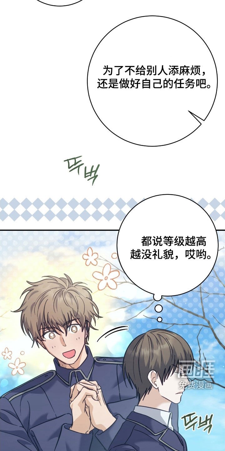 第35章：41区域