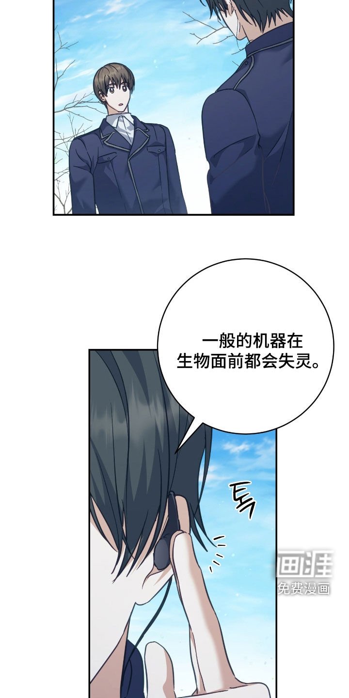 第35章：41区域