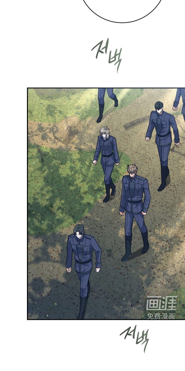 第35章：41区域