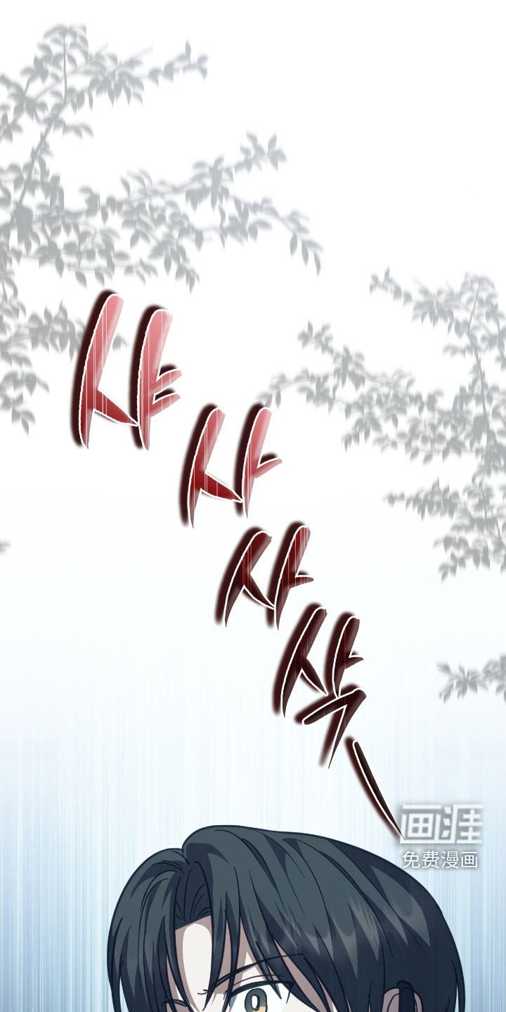 第35章：41区域