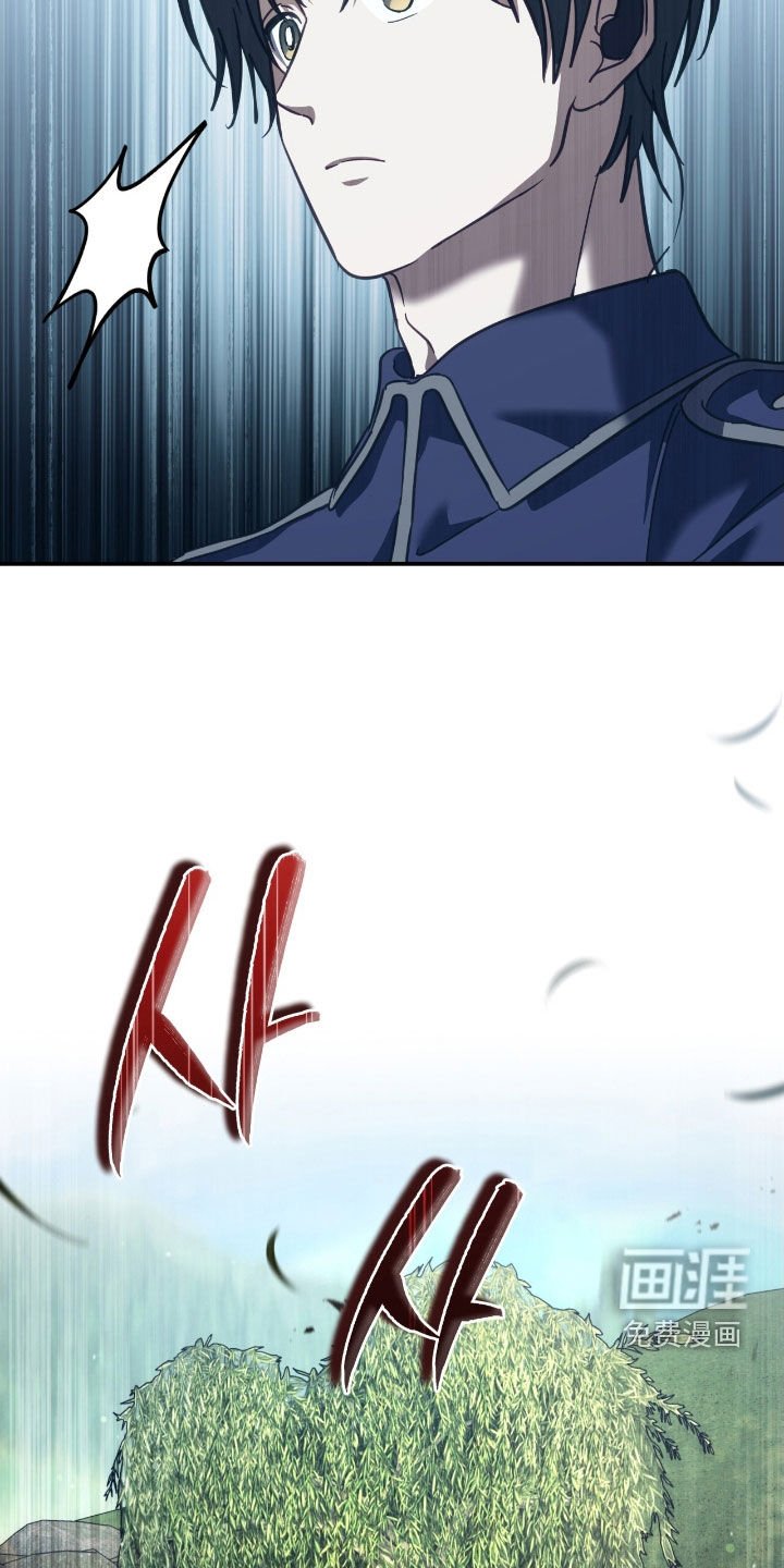 第35章：41区域