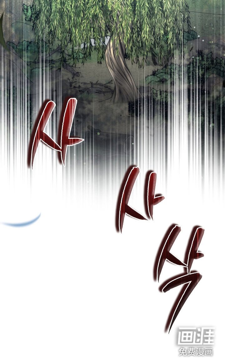 第35章：41区域