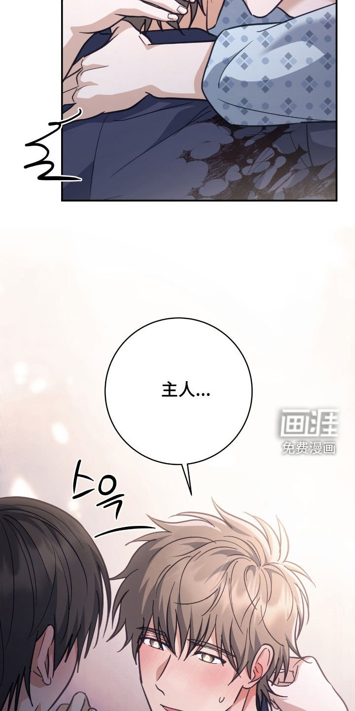 第40章：集中于我