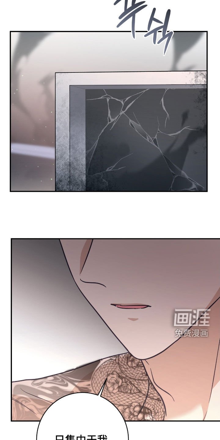 第40章：集中于我