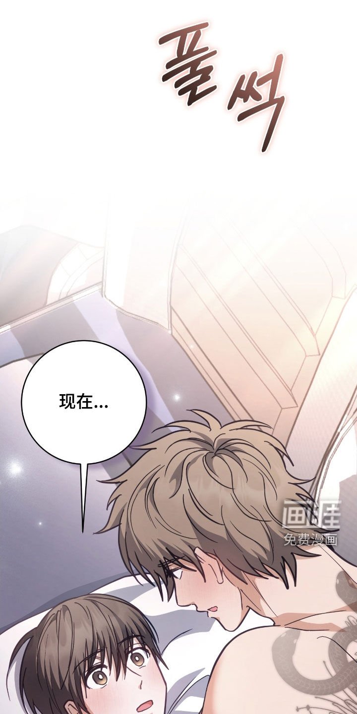 第40章：集中于我