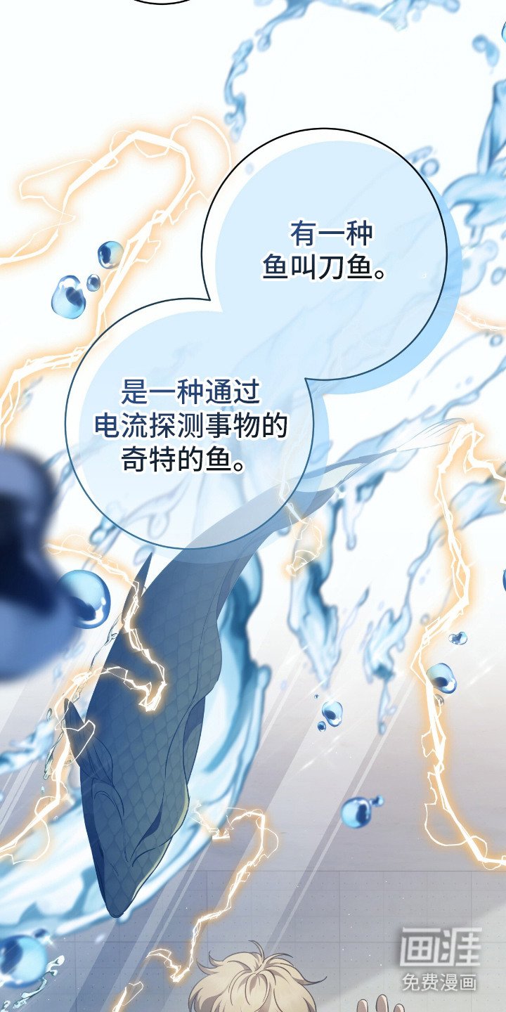 第7章：感知力
