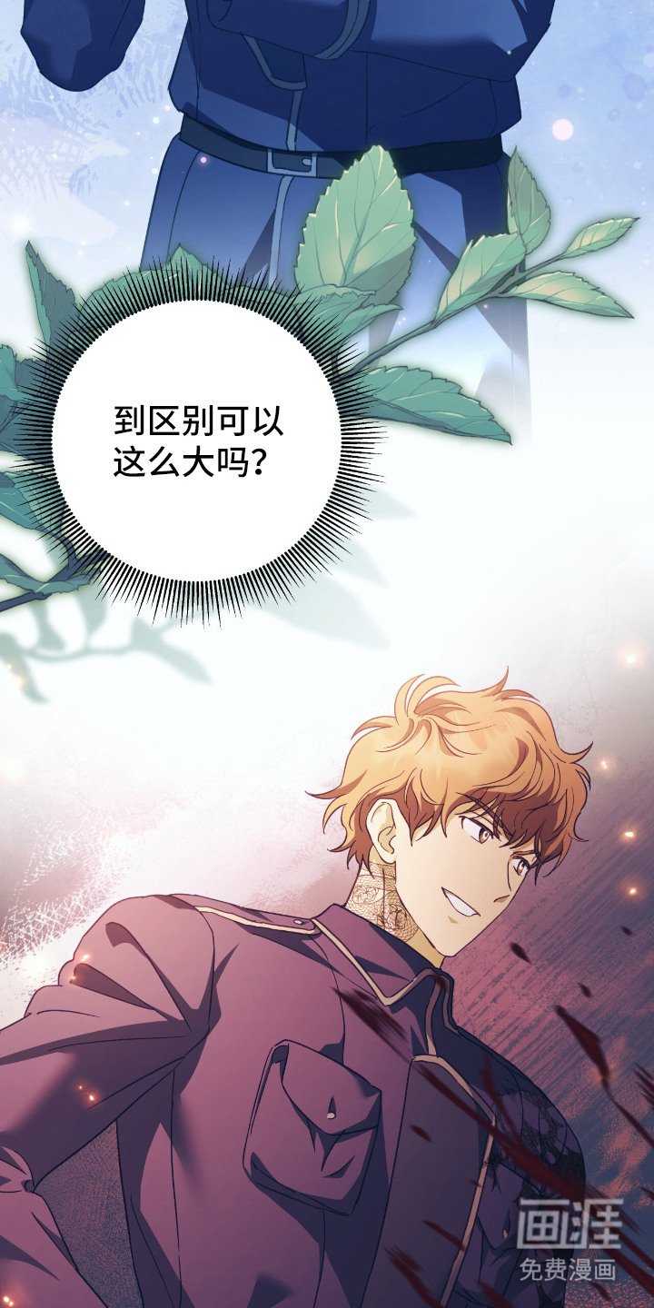 第8章：区别很大