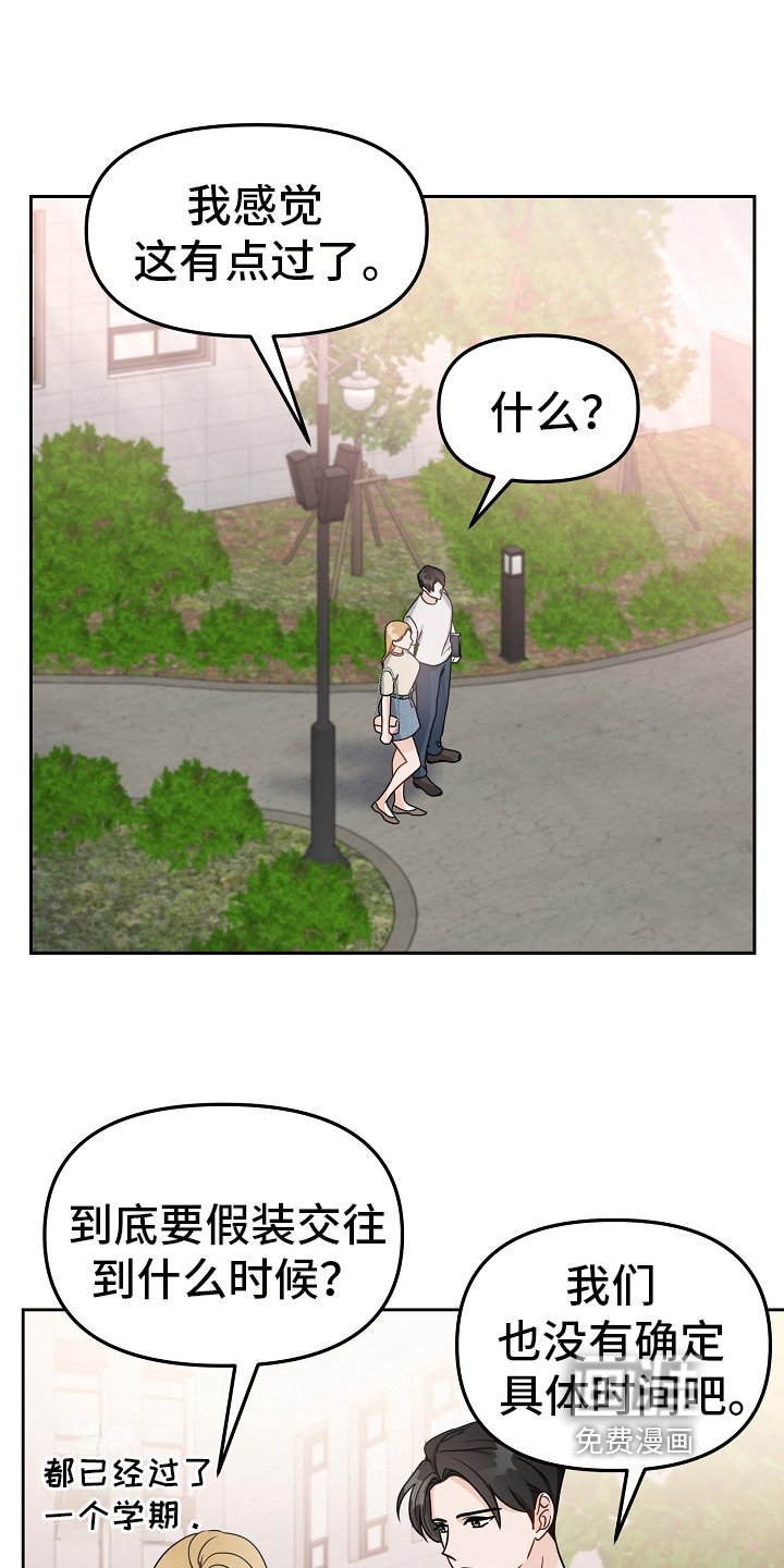 第17章：假装交往