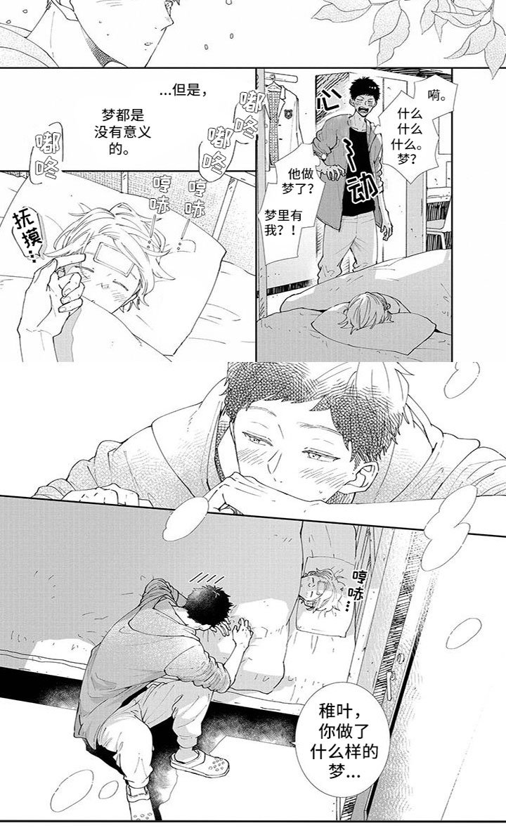 第13章：发烧