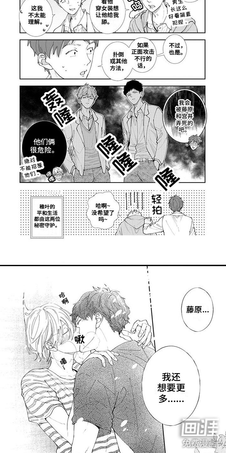 第28章：补充介绍