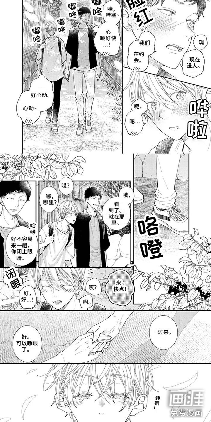 第41章：神秘的地方