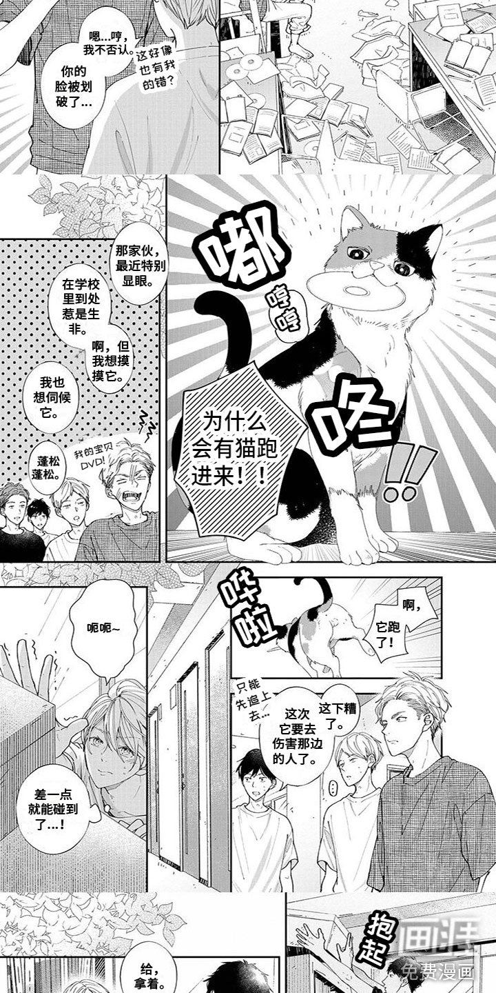 第45章：出状况