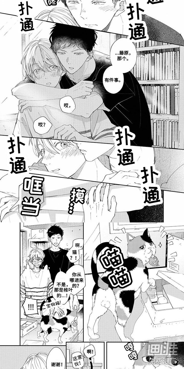 第46章：宝物
