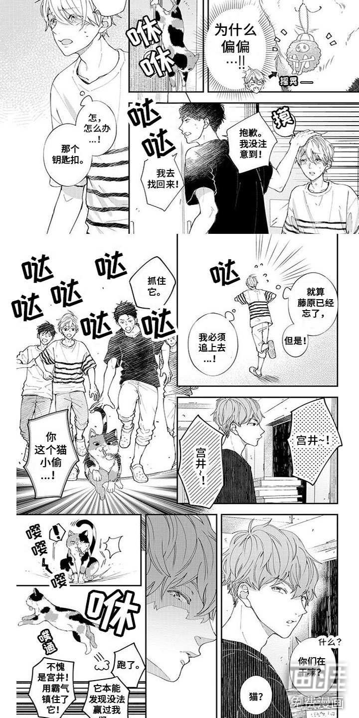 第46章：宝物