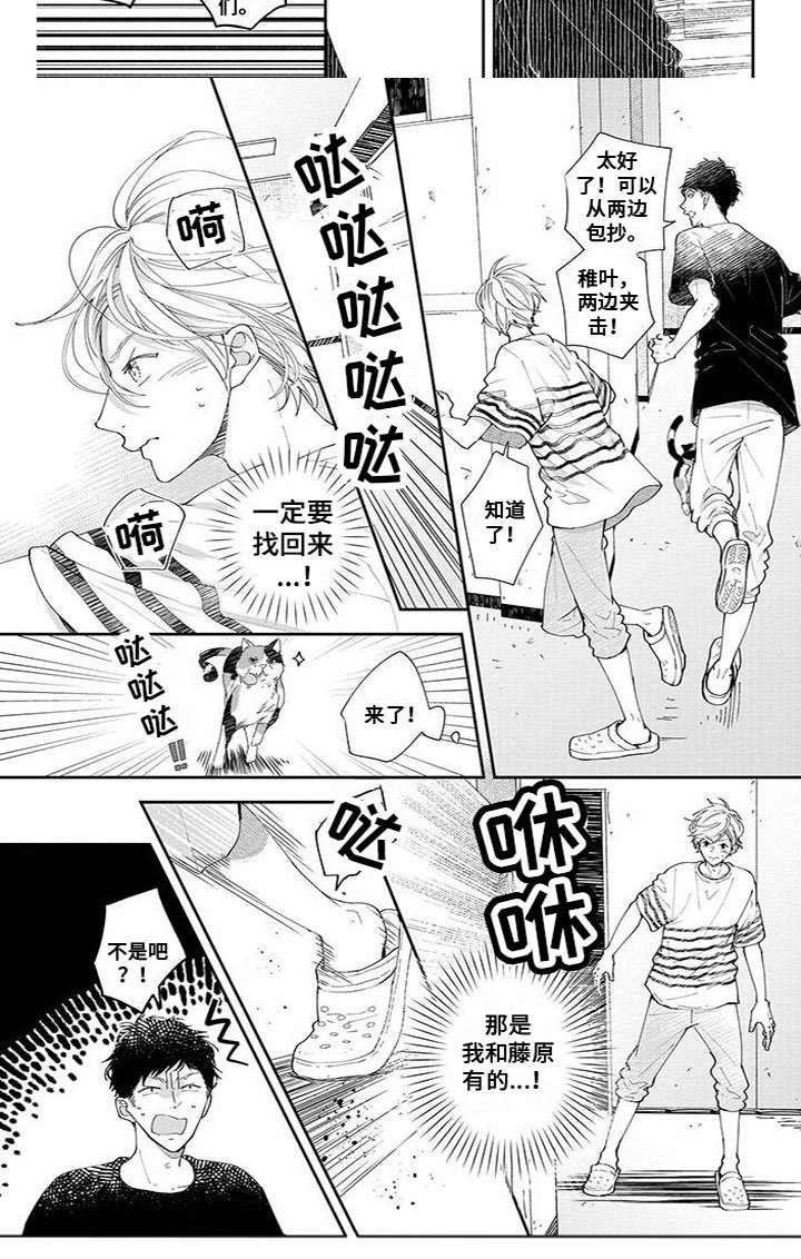 第46章：宝物