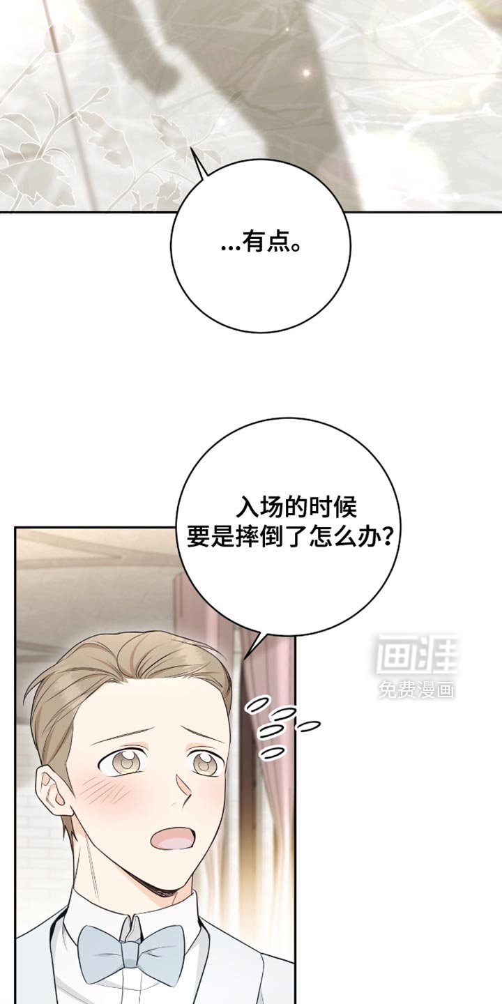 第116章：【第二季完结】我结婚了