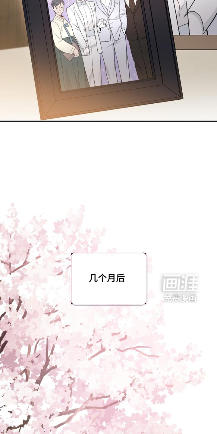 第116章：【第二季完结】我结婚了