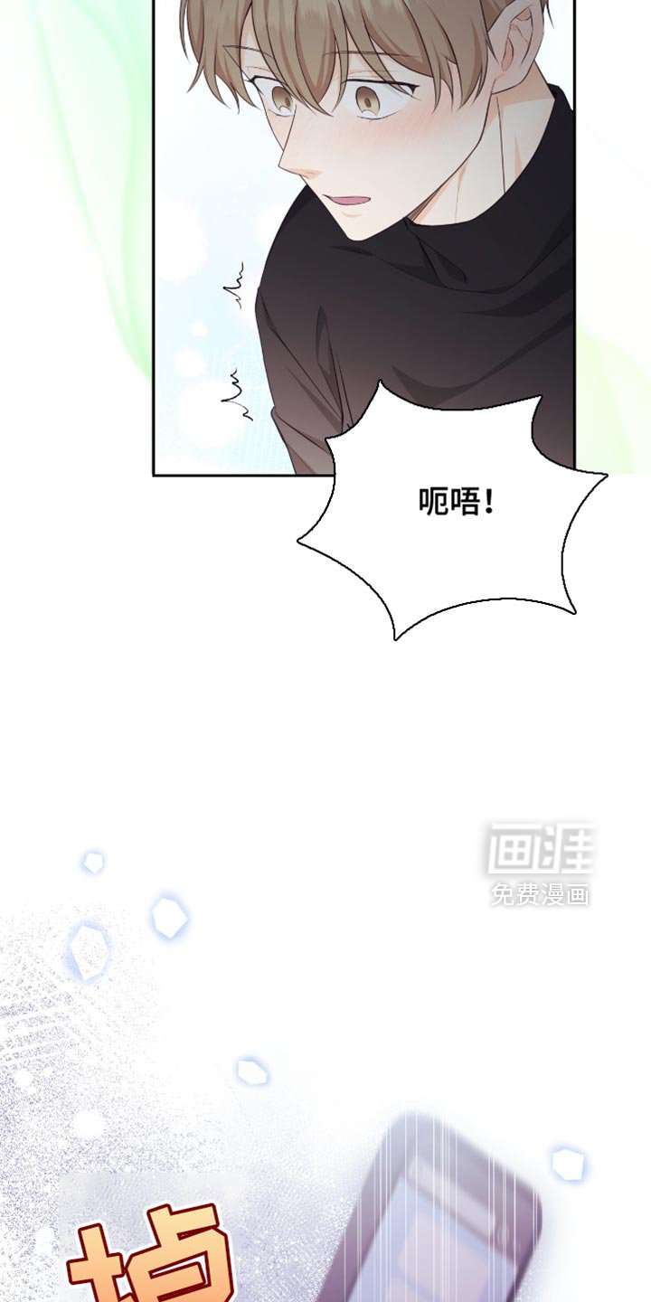 第119章：【番外】短信消息