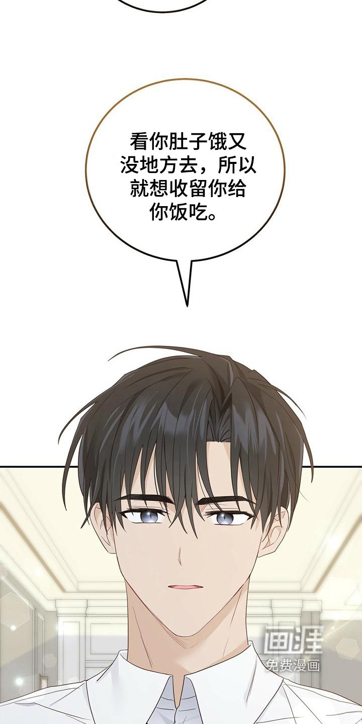 第19章：不会让你受伤