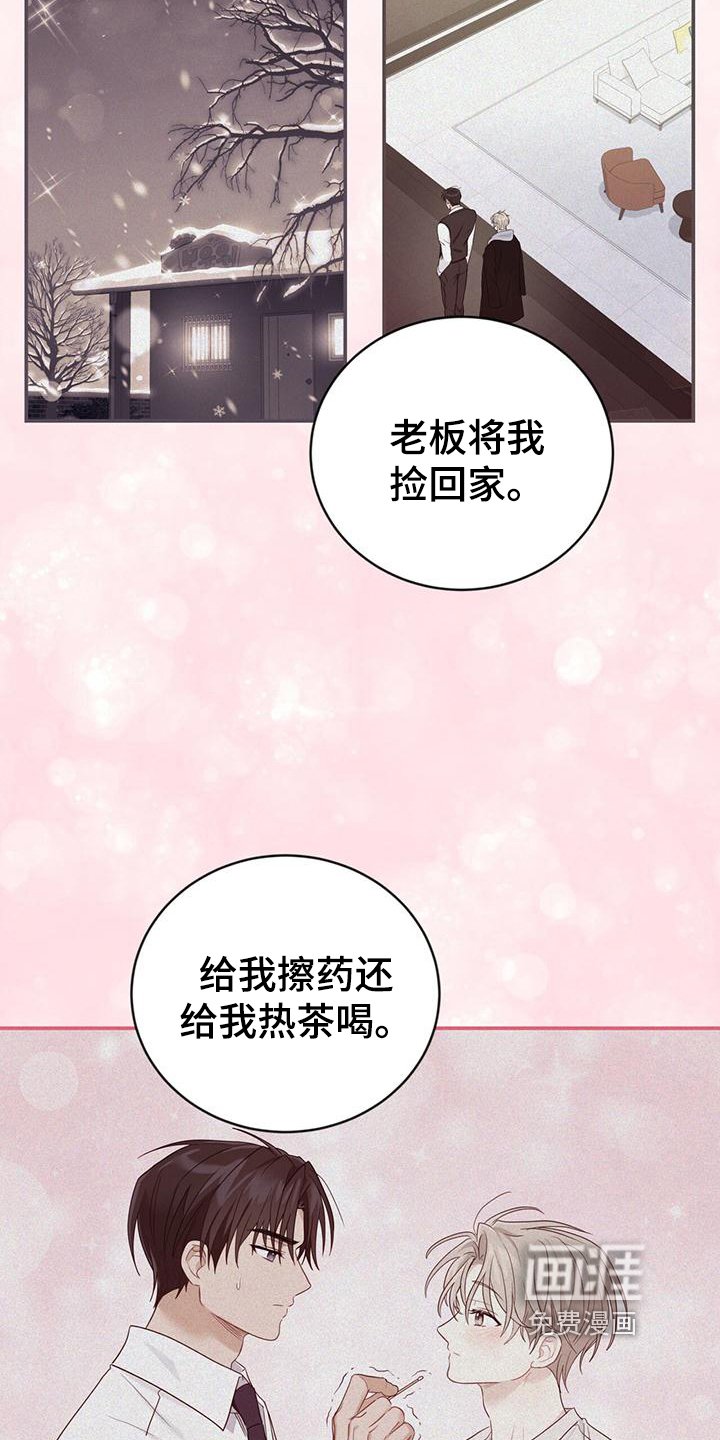 第19章：不会让你受伤