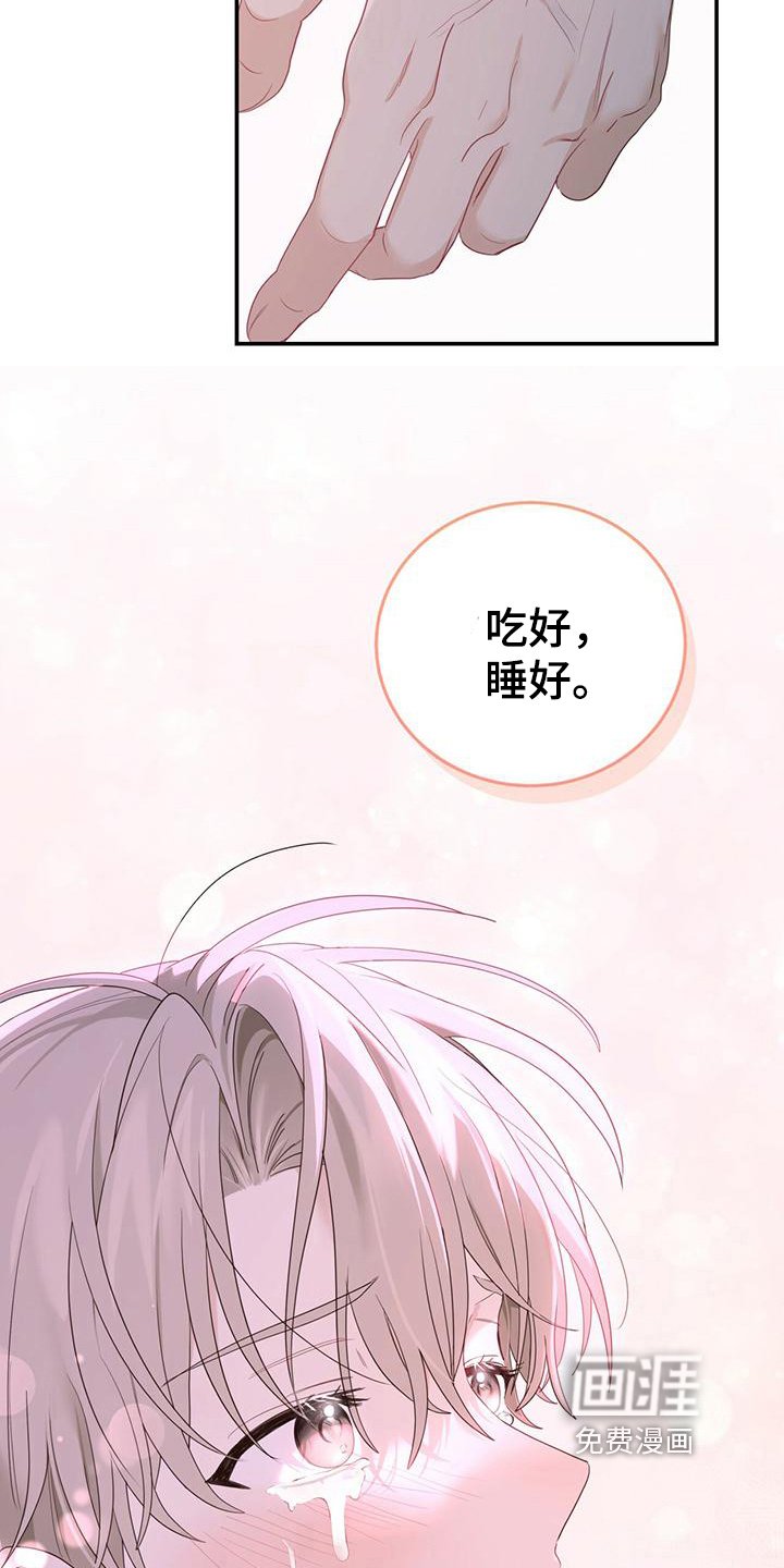 第19章：不会让你受伤