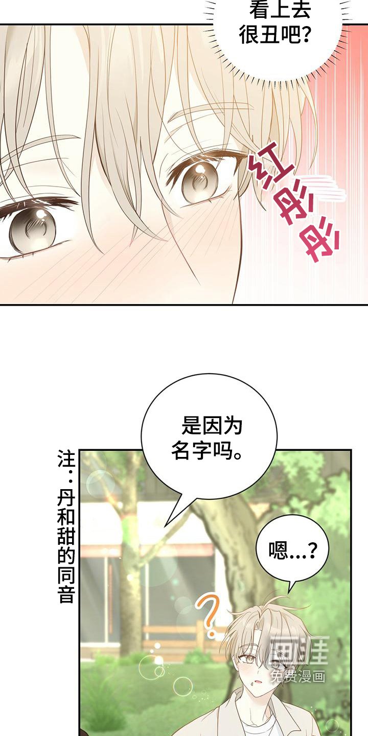 第21章：随意