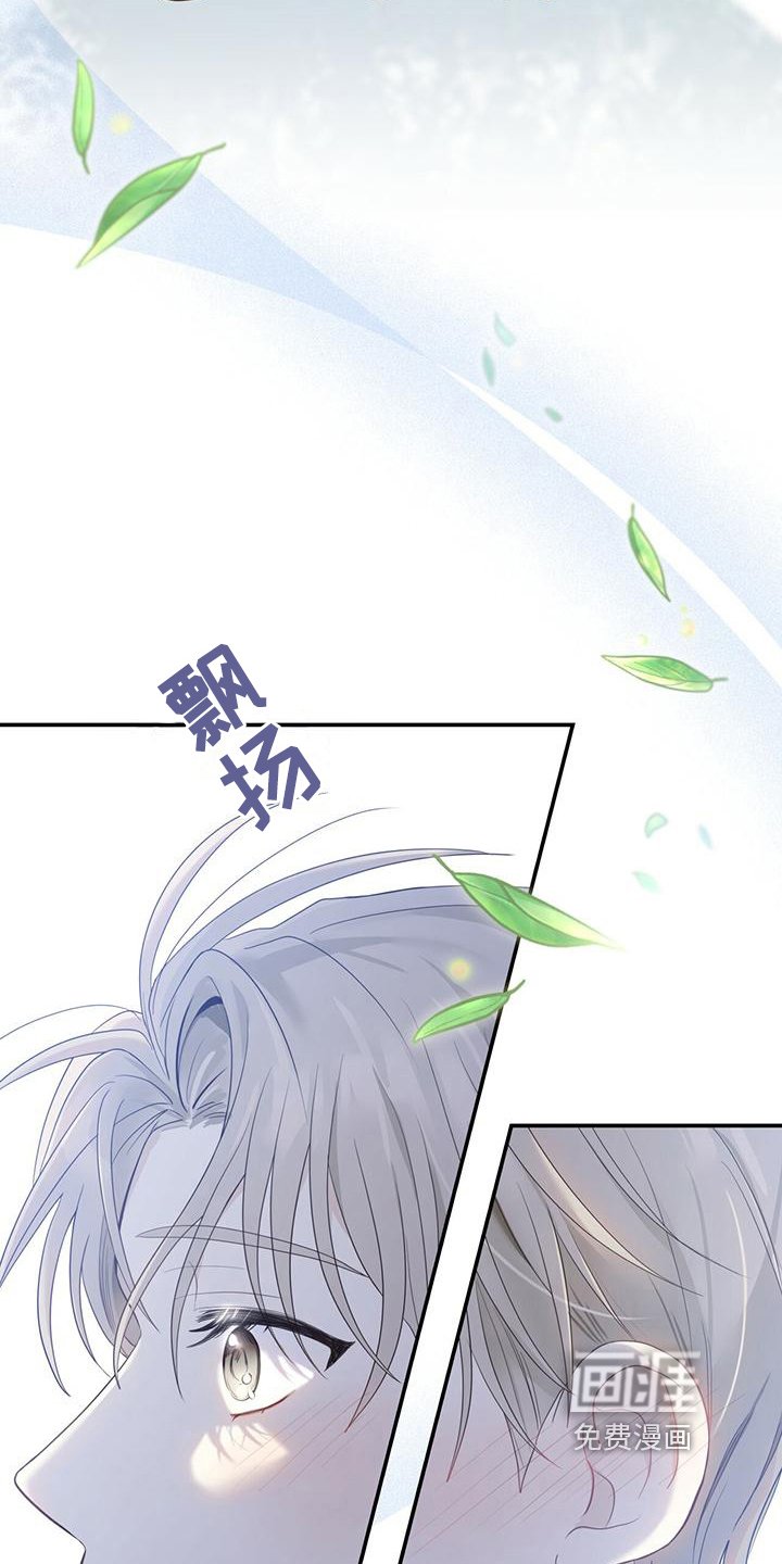 第21章：随意