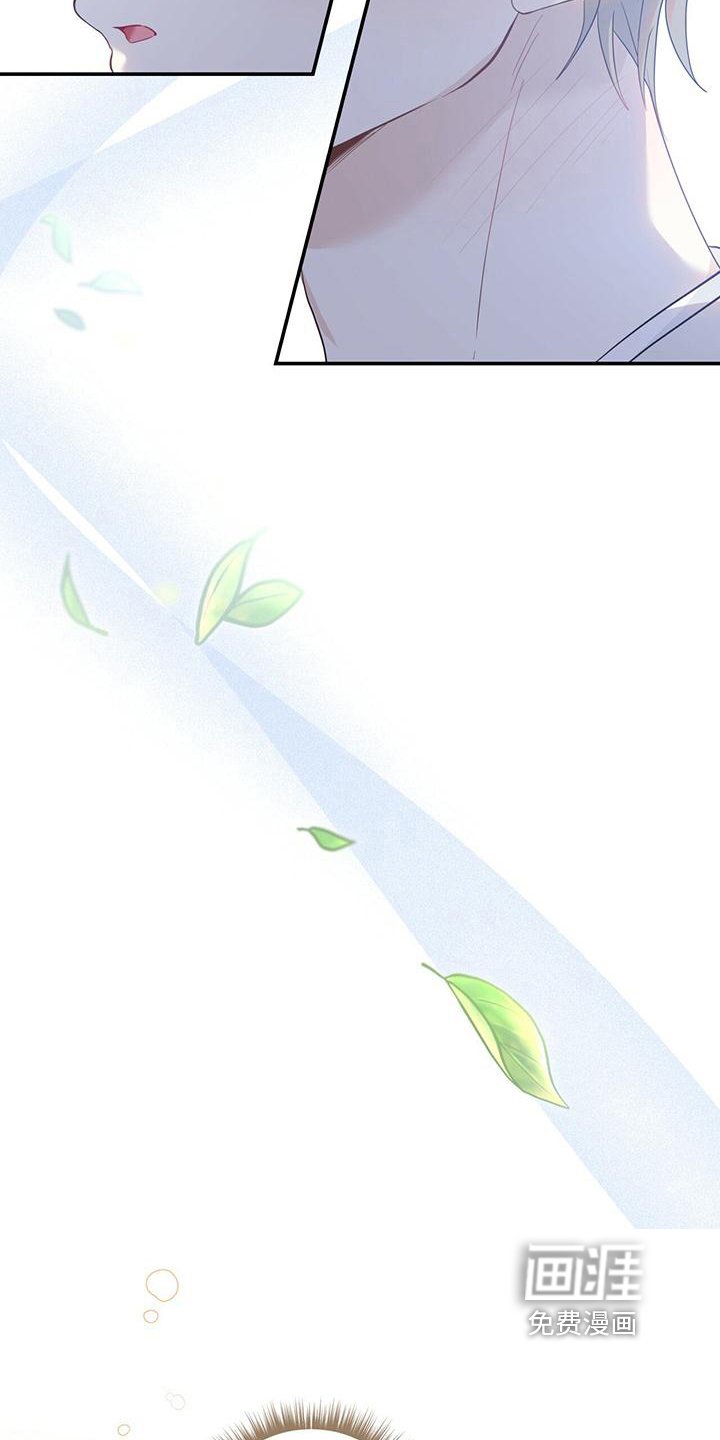 第21章：随意