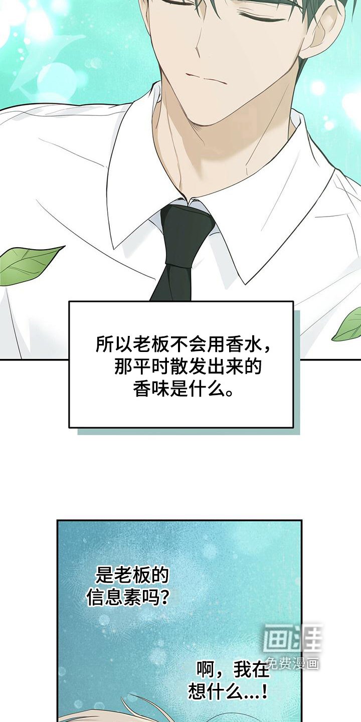 第25章：发作
