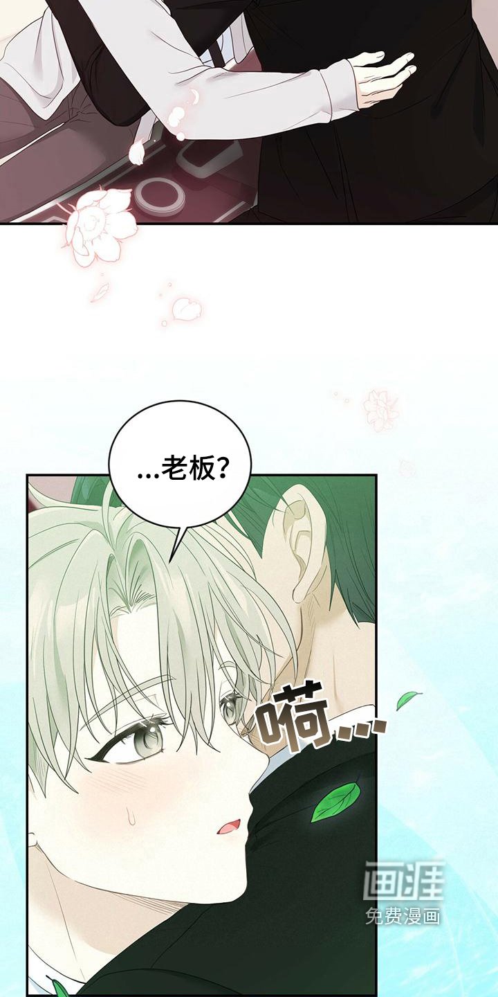 第26章：信息素