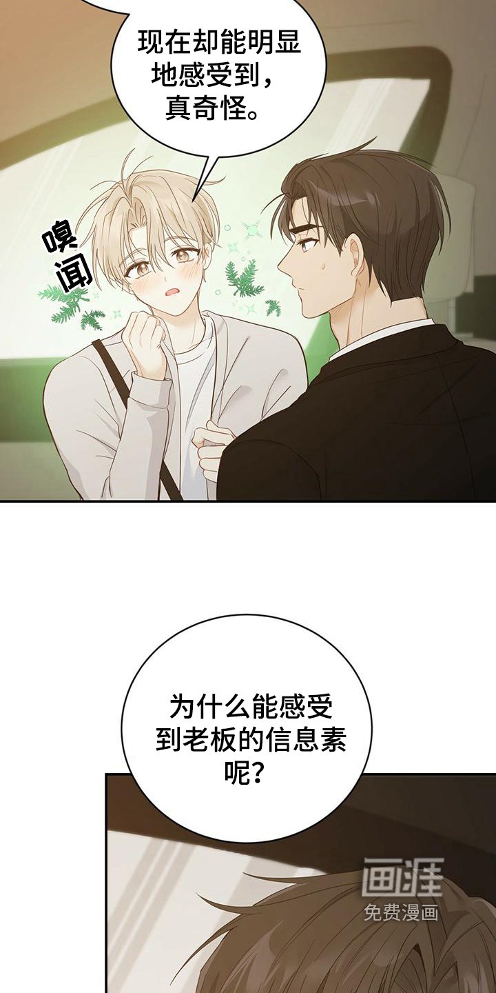 第26章：信息素