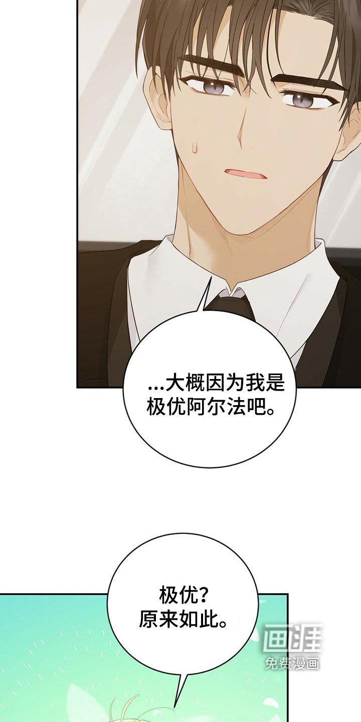 第26章：信息素