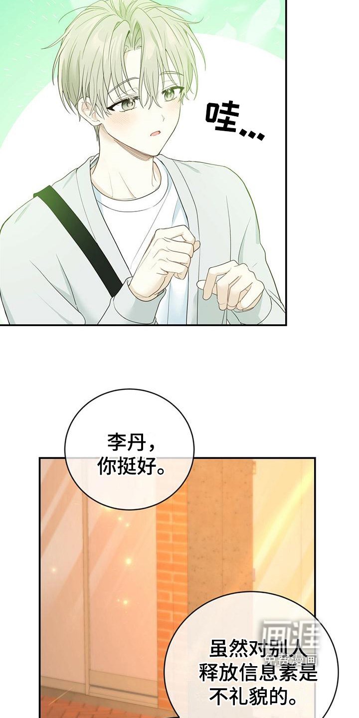第26章：信息素